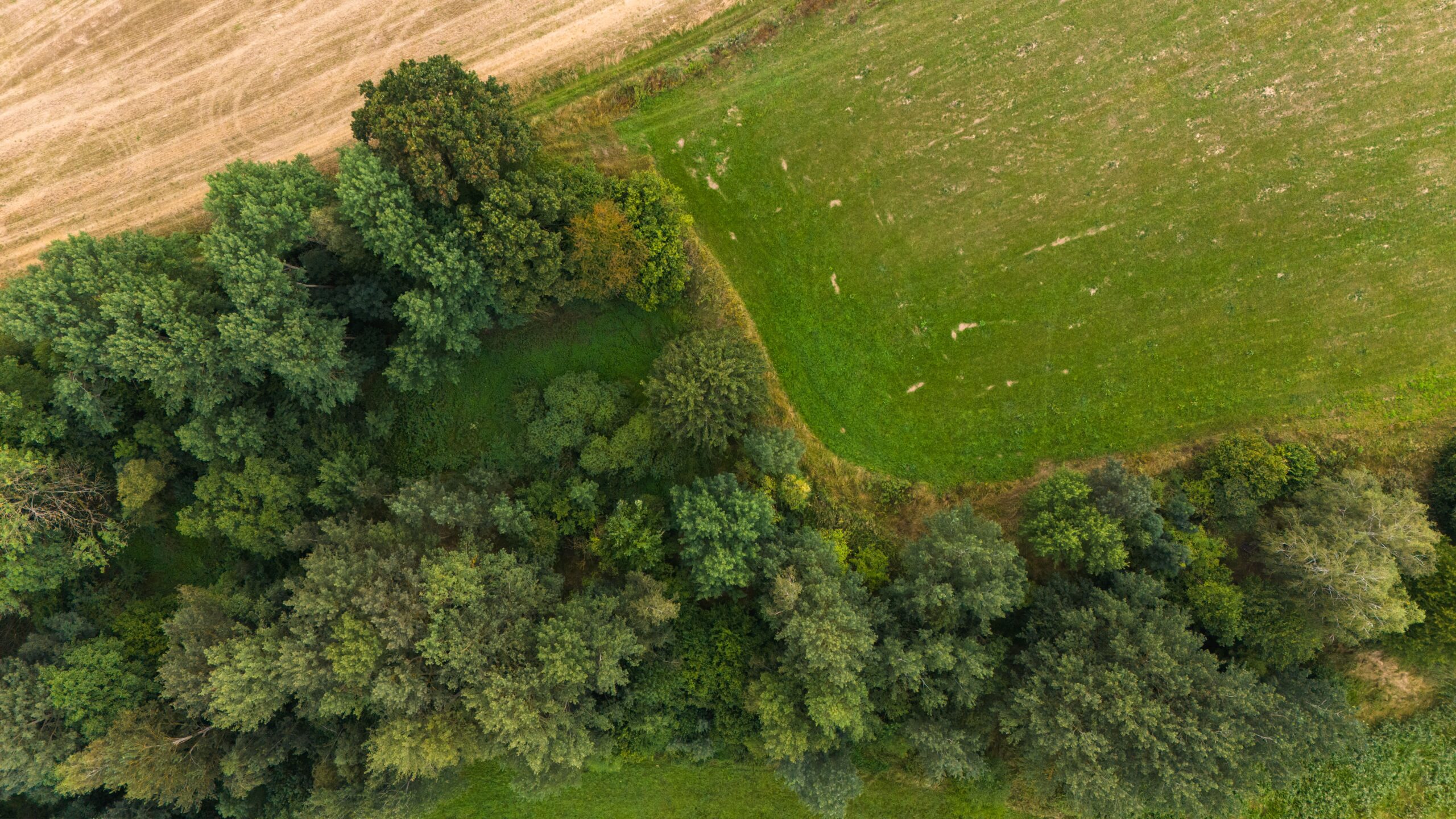 Aerial view of vibrant green fields and dense woodlands, capturing nature's beauty.